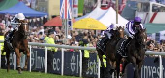 Horse Racing