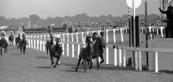 Doncaster St Leger