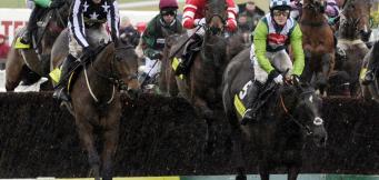 Horse Racing