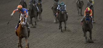 Horse Racing