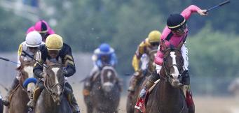 Horse Racing Tips