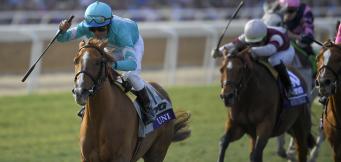 Famous Cheltenham Gold Cup Wins