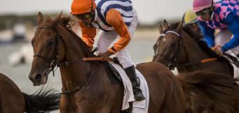Horse Racing 2020