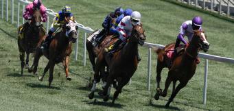 Horse Racing