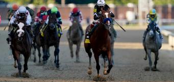 Ayr Gold Cup