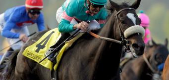 Horse Racing Tips