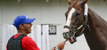 Horse Racing Bridle