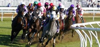 Horse Racing Tips Thursday 14th July