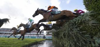Steve Mullington favourite live races