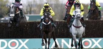 Tingle Creek tips