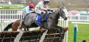 Mares Hurdle Trends