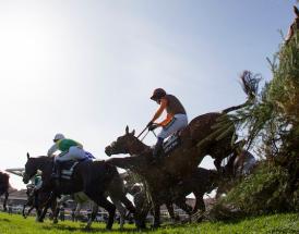Virtual Grand National 2020 - Horse Racing Tips Aintree