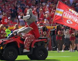 Best NFL mascots