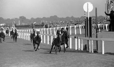 Doncaster St Leger