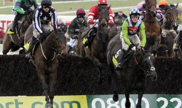 Horse Racing