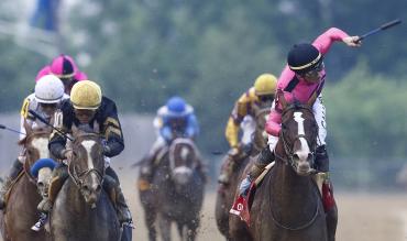 Horse Racing Tips
