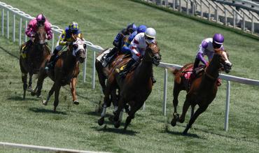 Horse Racing