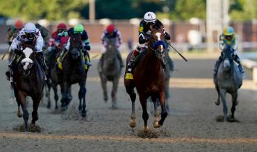 Ayr Gold Cup