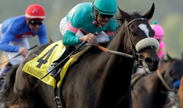Horse Racing Tips