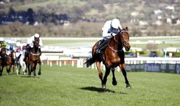 Irish Champion Hurdle statistics