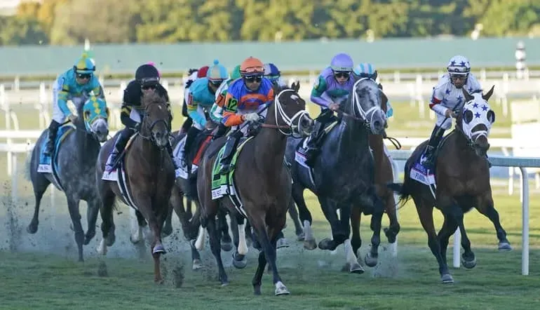 Horse Racing Bridle