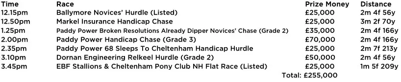 Cheltenham New Year's Day Horse Racing