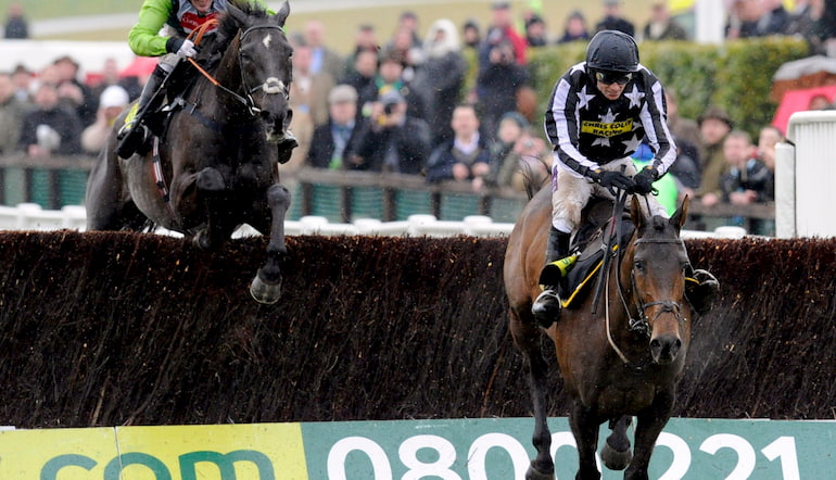 Betting on horse racing Cheltenham