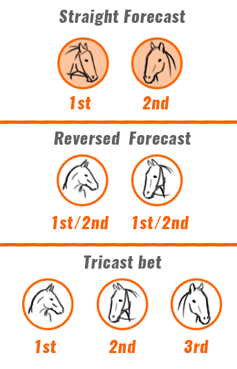 HORSE RACING GUIDELINES straight forcast