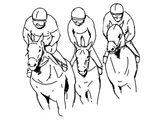 HORSE RACING GUIDELINES
