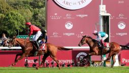 Horse racing in France - Beginner's Guide