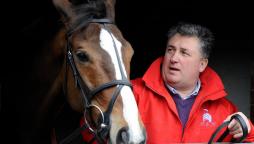 Paul Nicholls horses in training