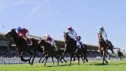 Bet on the 2022 QIPCO 1000 Guineas Newmarket