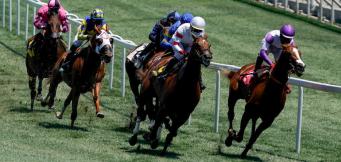 Different types of horse racing