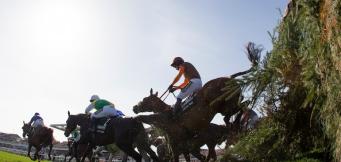 2021 Grand National Sweepstake kit