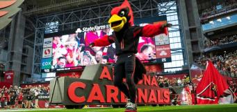 NFL mascots