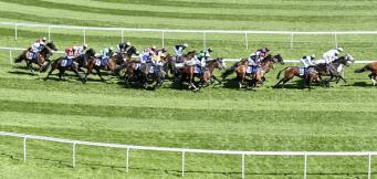 Tips and predictions for Glorious Goodwood 2023