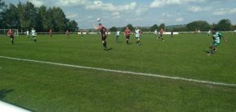 Shelley vs Steeton Tony Incenzo