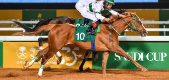 The Saudi Cup is one of the richest horse races