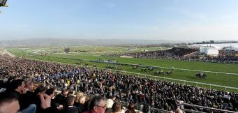 Cheltenham Festival betting tips