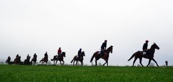 Cheltenham Tips Day 3