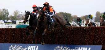 Each way betting guide for Aintree