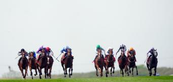 Ascot Racecourse