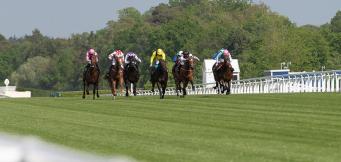 Royal Ascot Coronation Stakes
