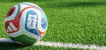 New Zealand World Cup
