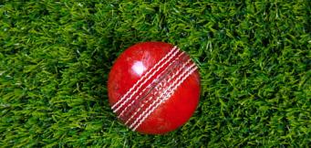 cricket ball