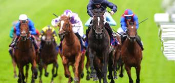 Horse racing betting guide