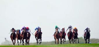 Henry de Bromhead stable