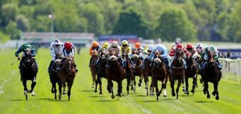 Willie Mullins stable tour