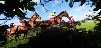 JP McManus Horses To Follow