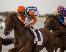 Horse Racing 2020